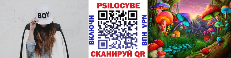 Псилоцибиновые грибы Psilocybe  Купить  Александров 